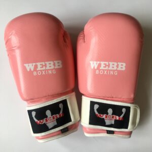 Boxing Training Gloves (Pink)